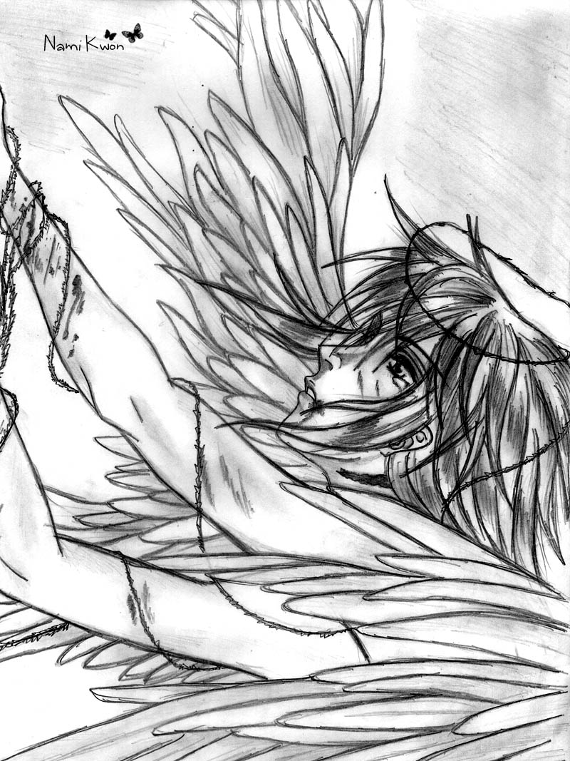 Download 2012 - Sketsa Gambar Anime Angel - Teahub.io