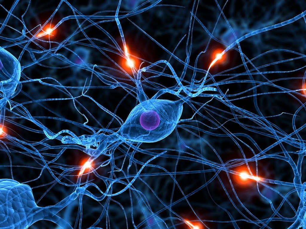 Neural Network - HD Wallpaper 