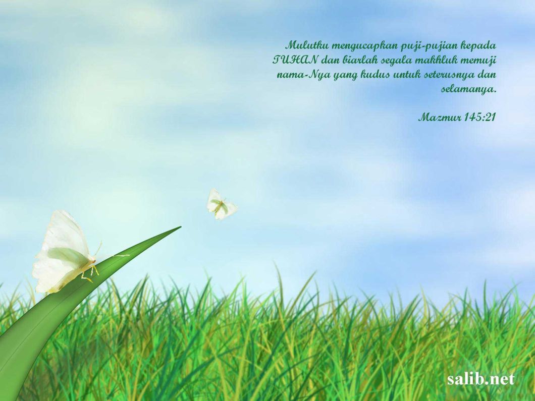 Wallpaper Salib Keren - Fly Away - HD Wallpaper 