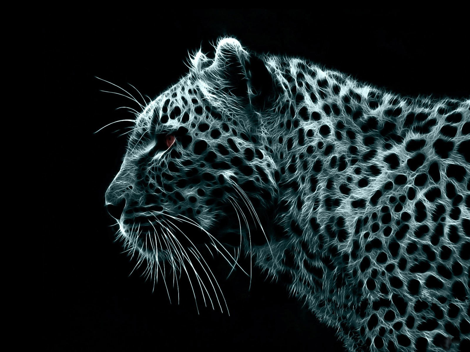 3d Dark Normal Resolution Wallpaper - Snow Leopard At Night - HD Wallpaper 