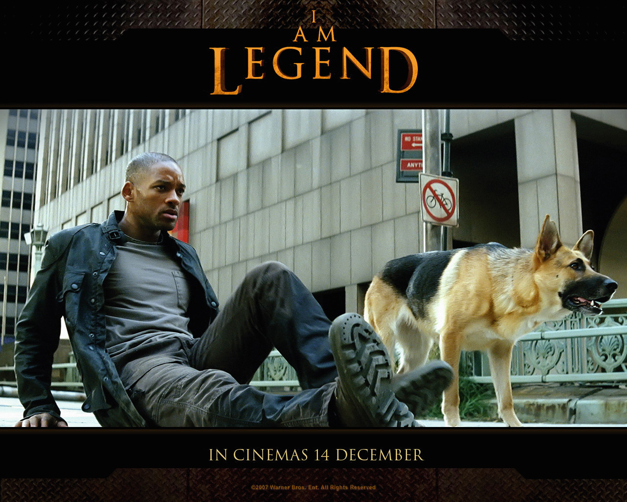Will Smith In Im A Legend - HD Wallpaper 