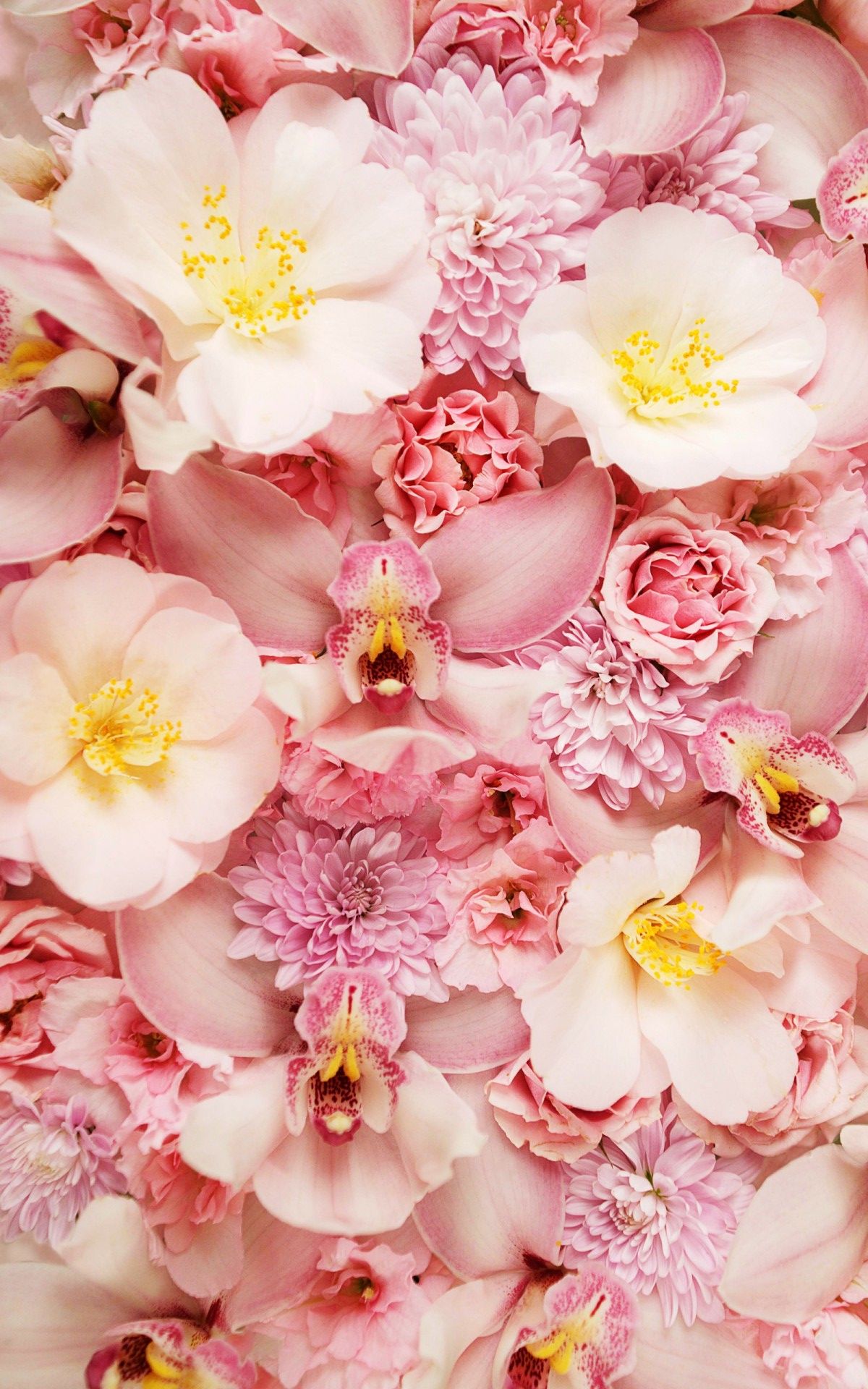 Vintage Wallpaper For Iphone 1200x1920 Wallpaper teahub.io