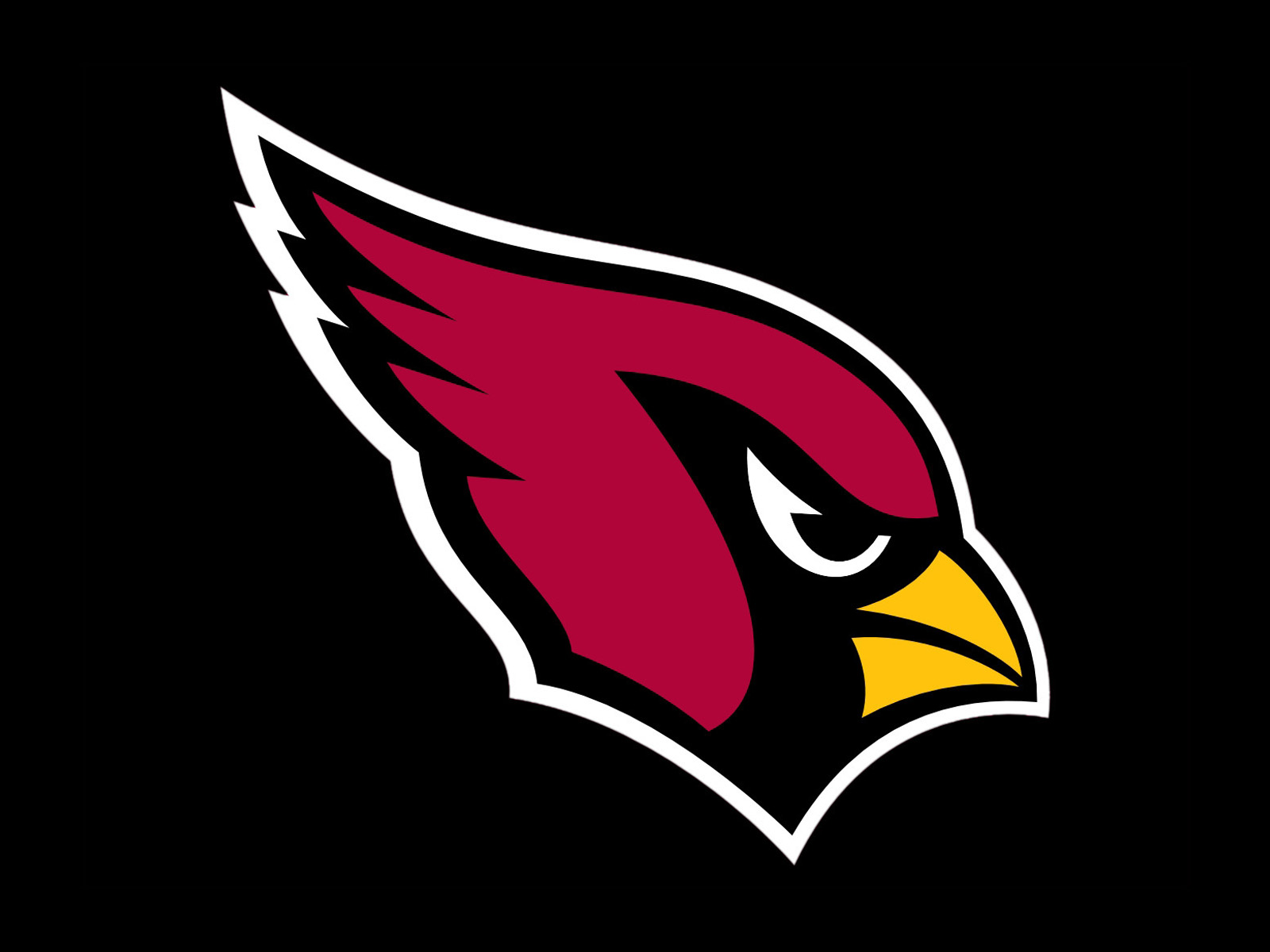 Arizona Cardinals - HD Wallpaper 