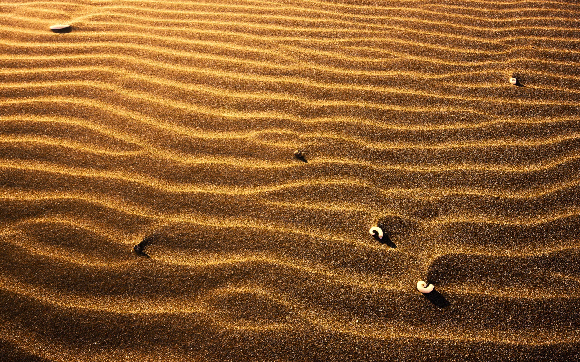 Desert Sand Close Up - HD Wallpaper 