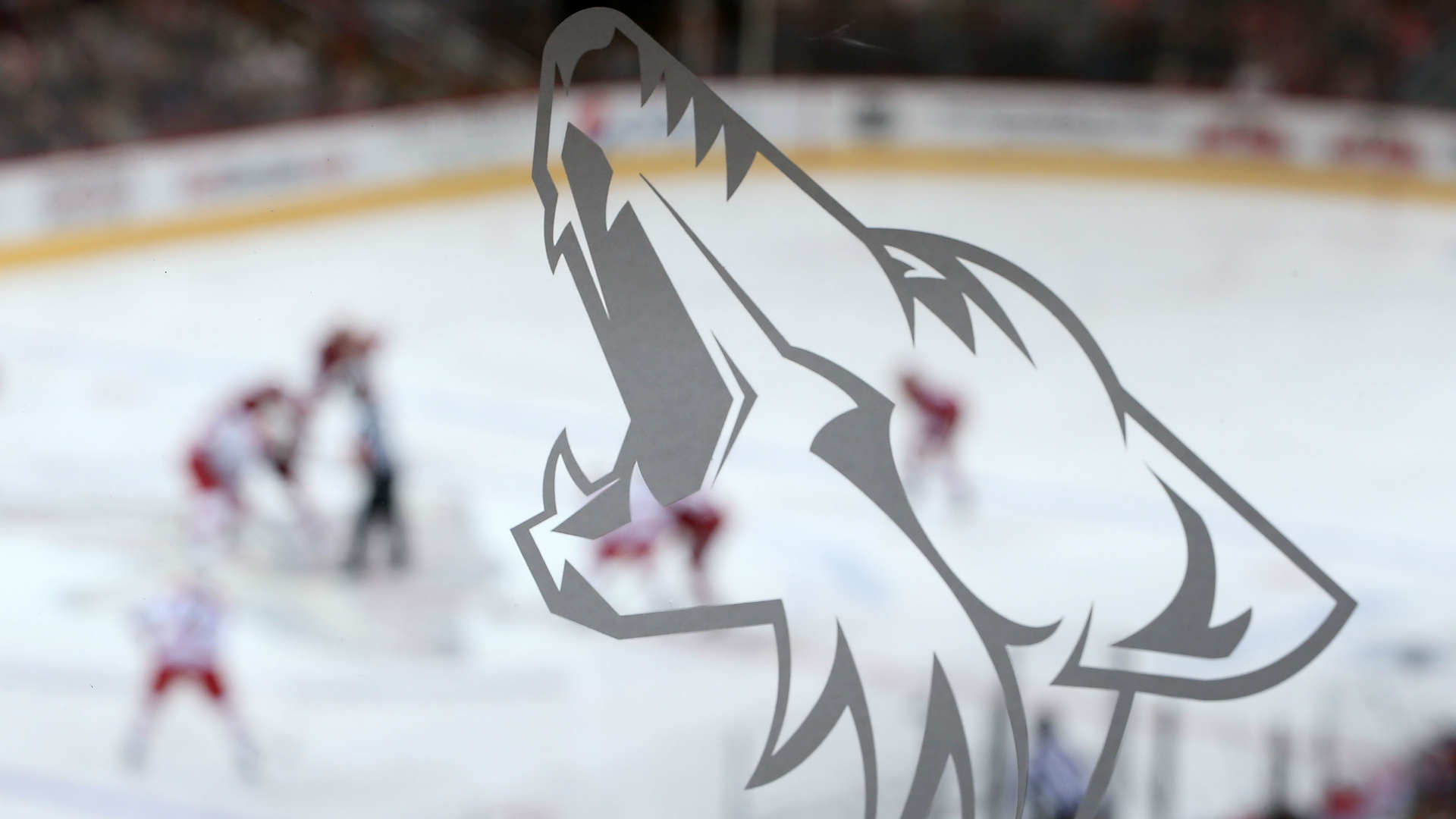 Arizona Coyotes 082416 Usnews Getty Ftr - Coyotes Hockey Logo - HD Wallpaper 