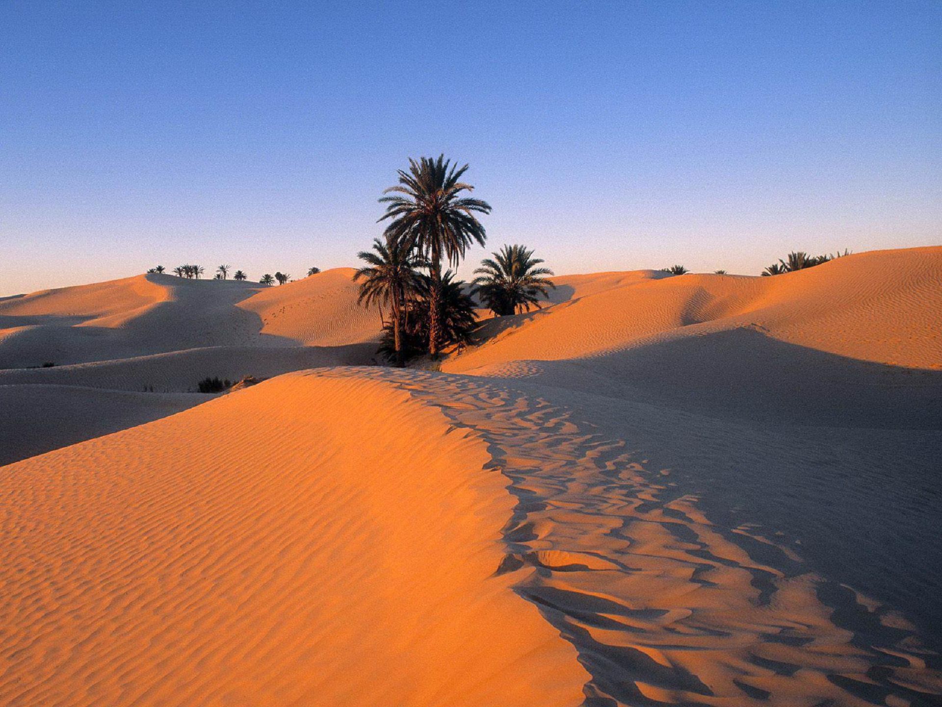 Travel Sahara Desert 2 Hd Wallpapers - Sahara Of North Africa - HD Wallpaper 