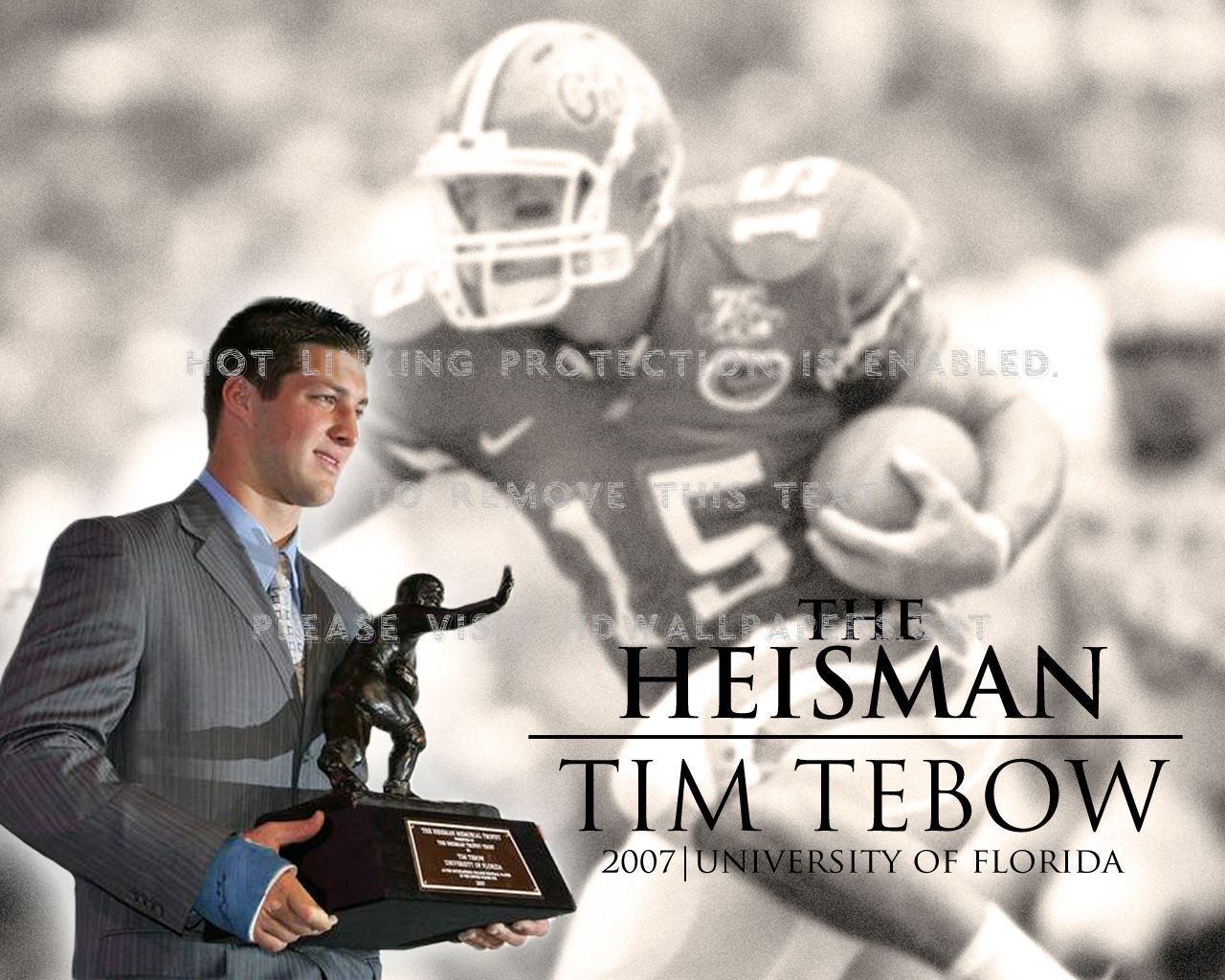 Heisman Trpohy-tim Tebow Trophy Quarterback - Tim Tebow Florida Heisman - HD Wallpaper 