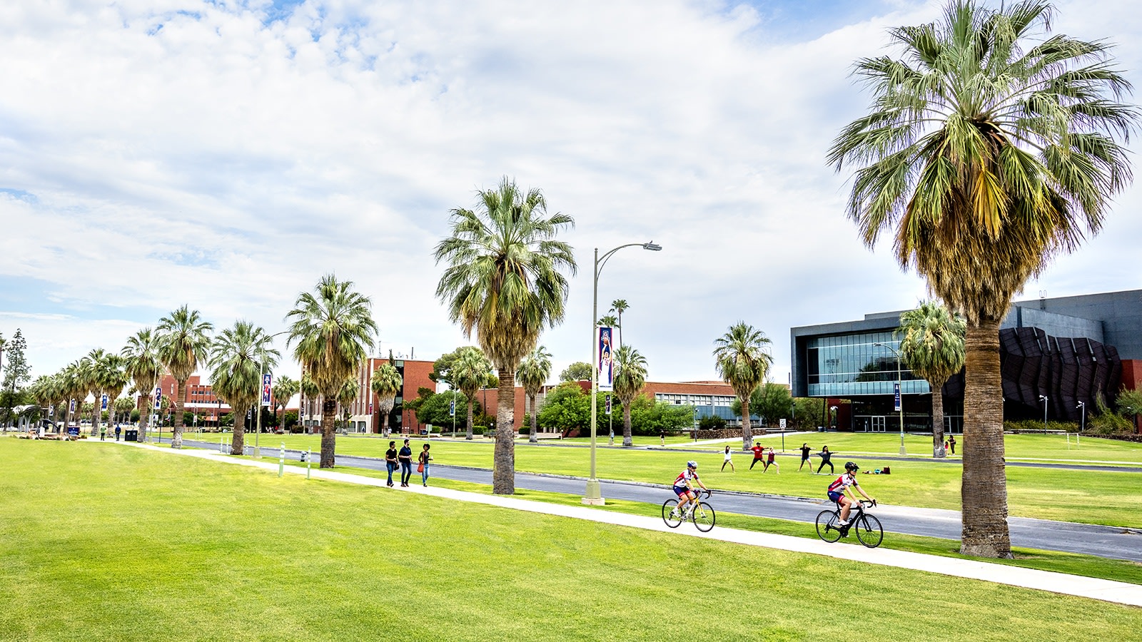 Location University Of Arizona - HD Wallpaper 