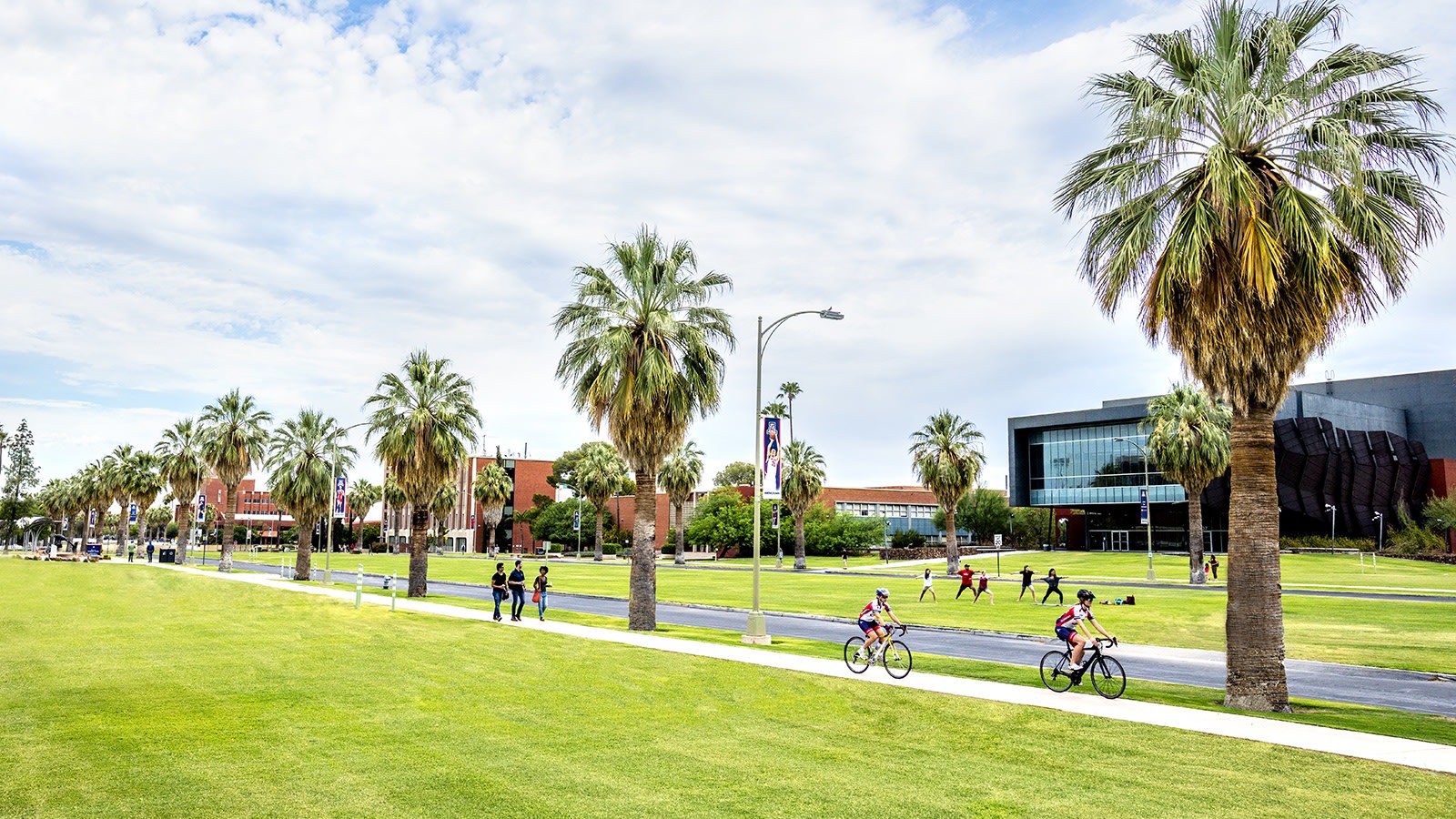 Location University Of Arizona - HD Wallpaper 