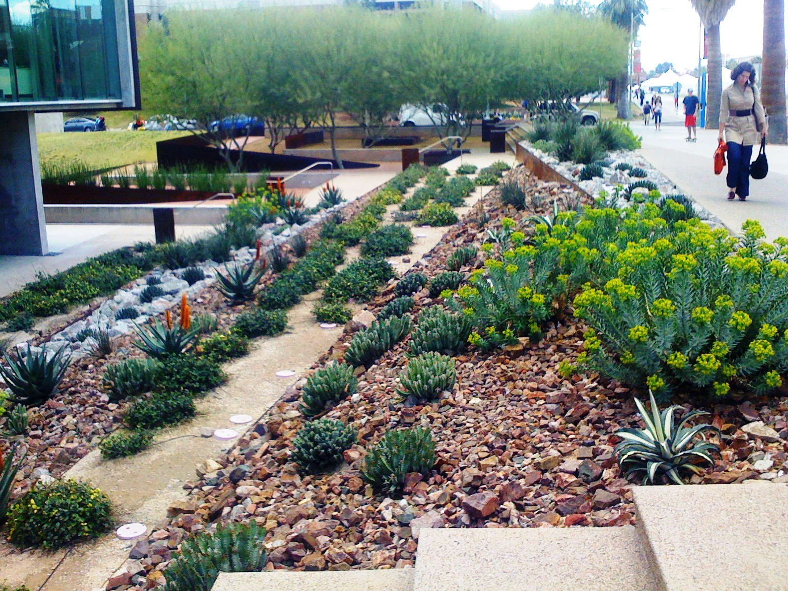 Arizona Landscape Architecture - HD Wallpaper 