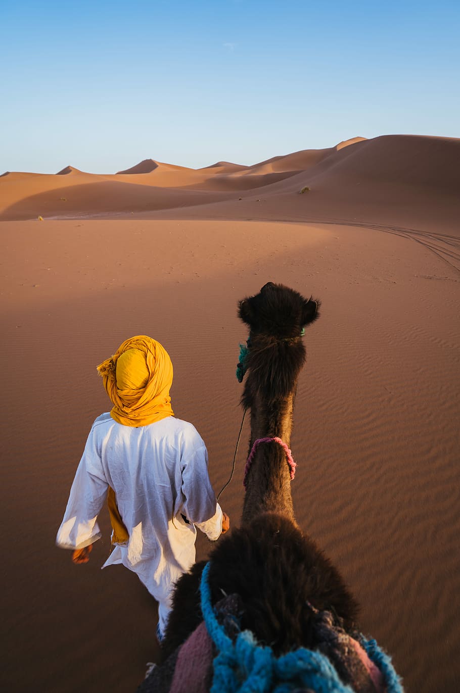 Man Walking On Desert With Camel, Man Wearing Yellow - Man Walking In Desert With Camel - HD Wallpaper 