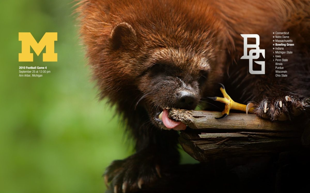 Michigan Football Wallpaper X - University Of Michigan - HD Wallpaper 