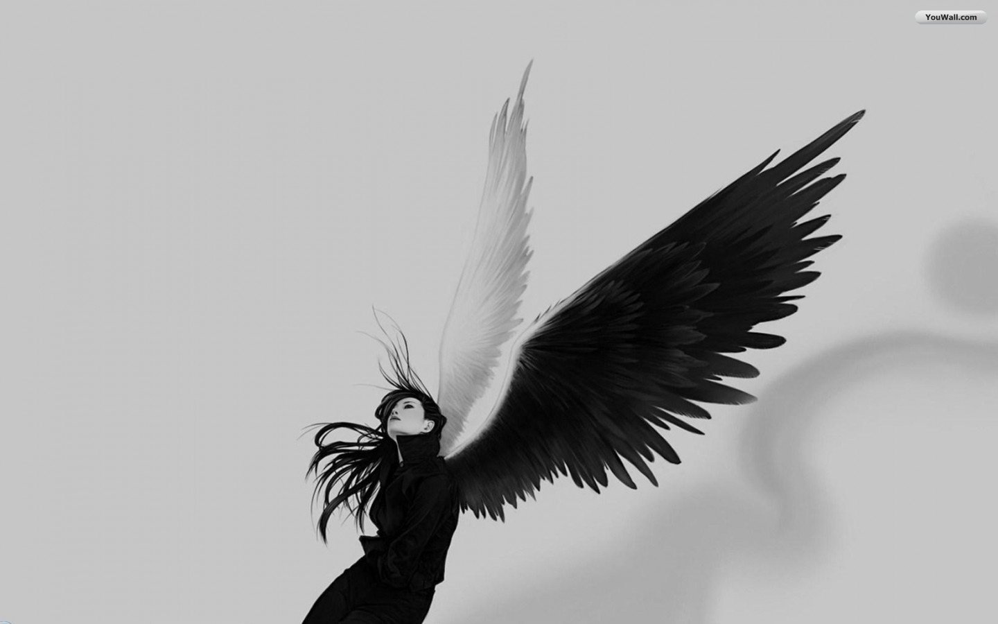 Black Angel Wallpaper - Black And White Wings - HD Wallpaper 