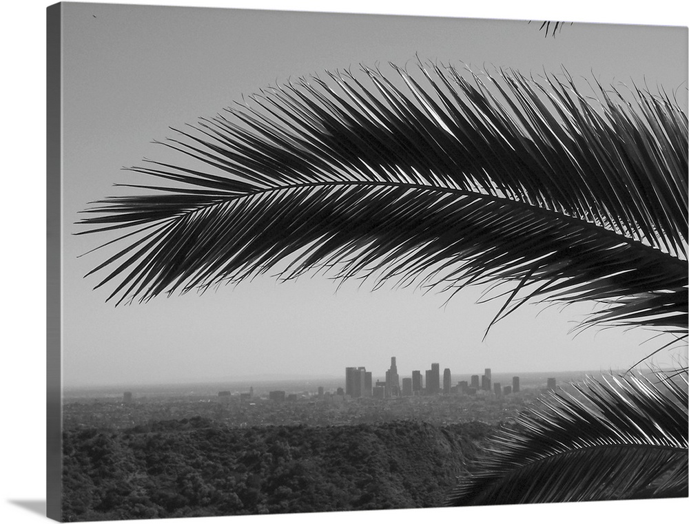 Black And White Hollywood Hills - HD Wallpaper 