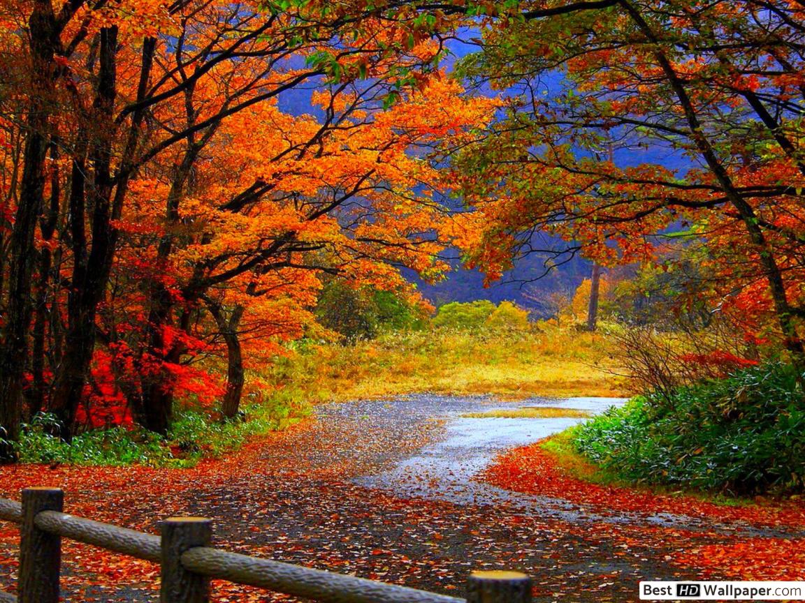 Fall Images With Quotes - HD Wallpaper 