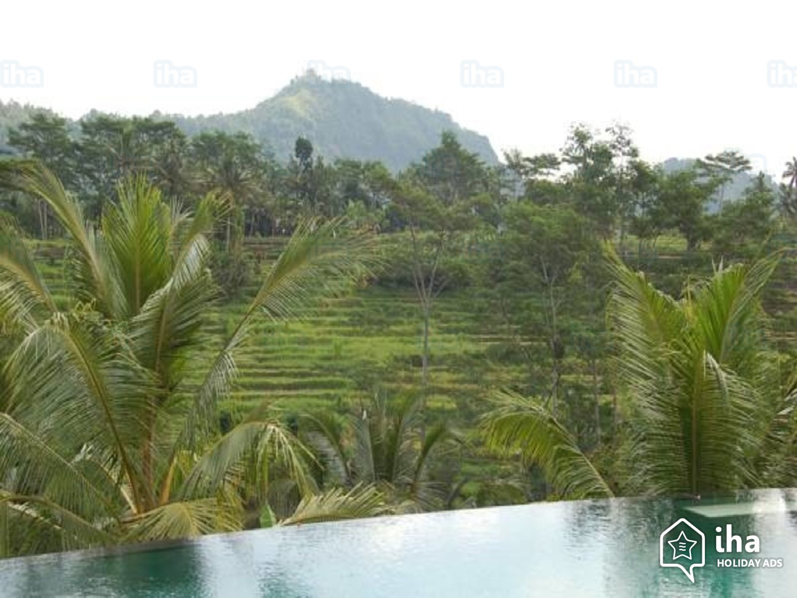 View From The Swimming Pool, Villa In Sidemen - Attalea Speciosa - HD Wallpaper 