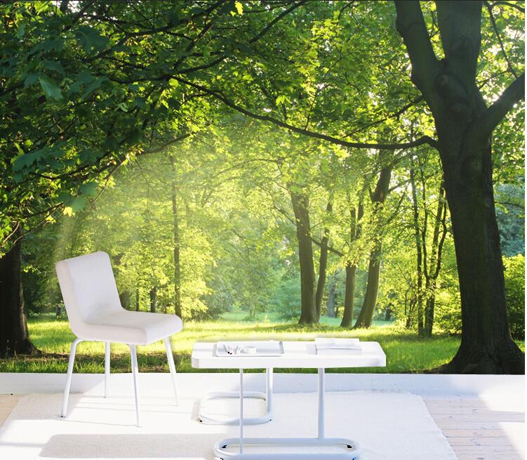 3d Обои Лес - HD Wallpaper 