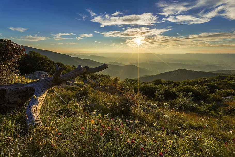 Green Grass Field During Daytime, Sunset, Landscape, - Shenandoah National Park - HD Wallpaper 