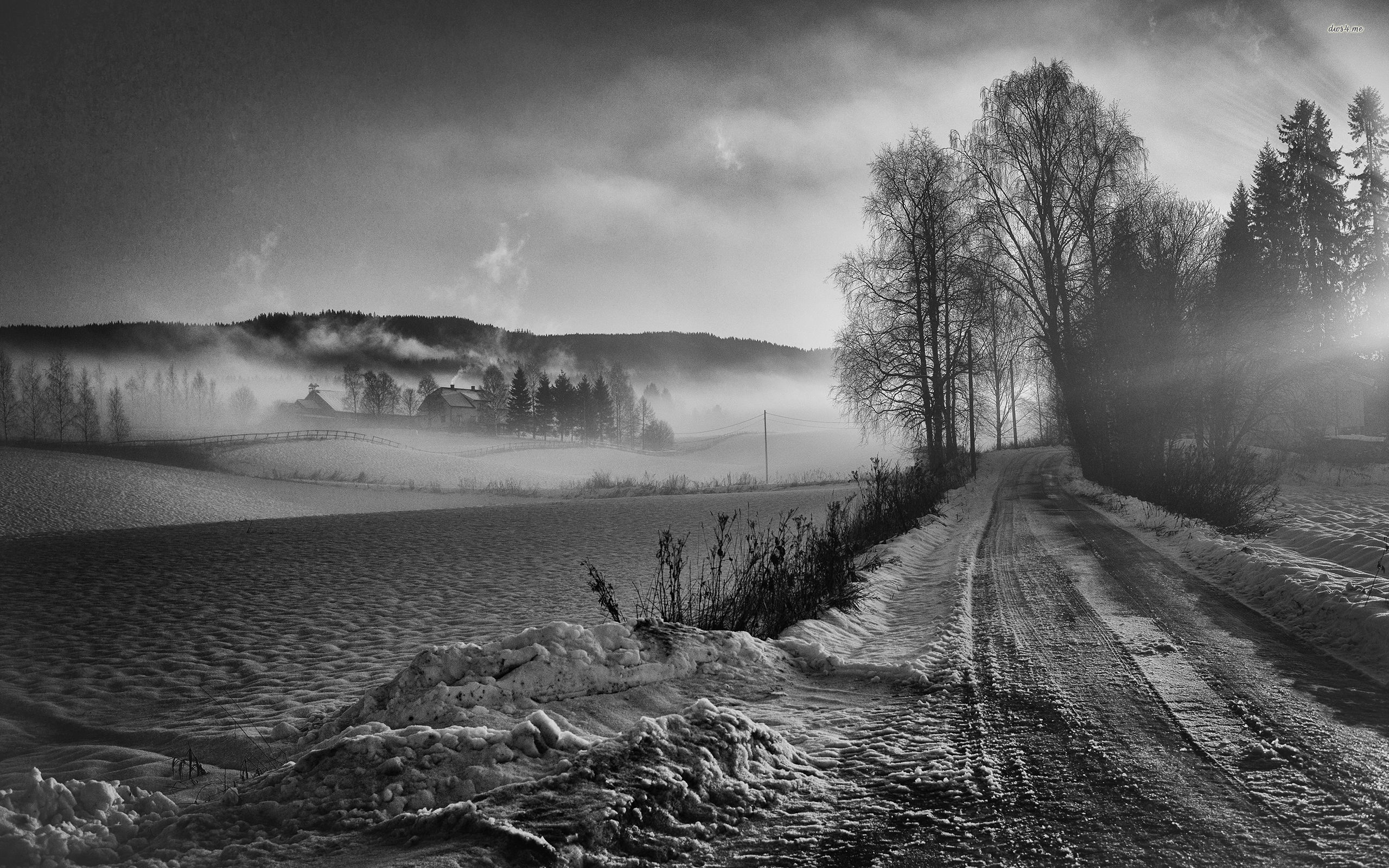 Wallpaper - HD Wallpaper 