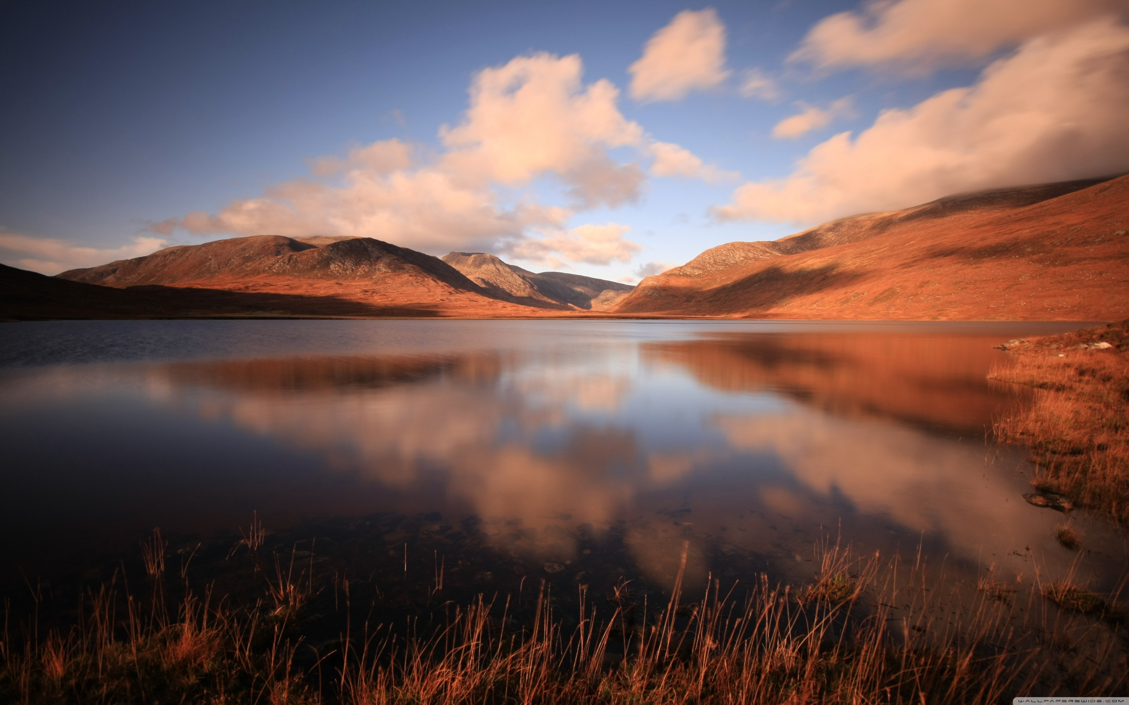 Wallpaper - 3840x2400 Wallpaper - teahub.io