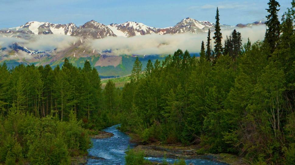 Scenic Alaska Wallpaper,nature Hd Wallpaper,streams - Woods In The Mountains - HD Wallpaper 