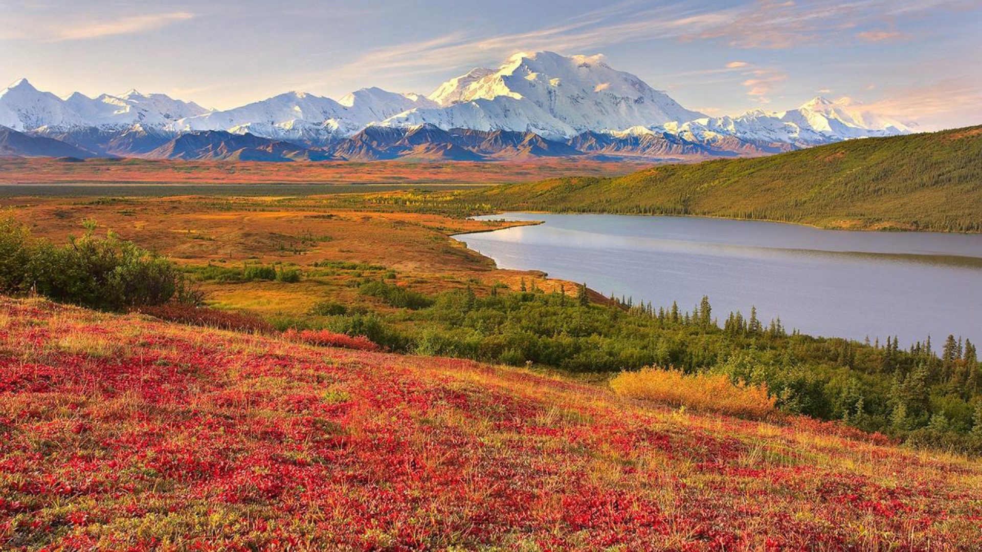 Denali National Park Hd - HD Wallpaper 