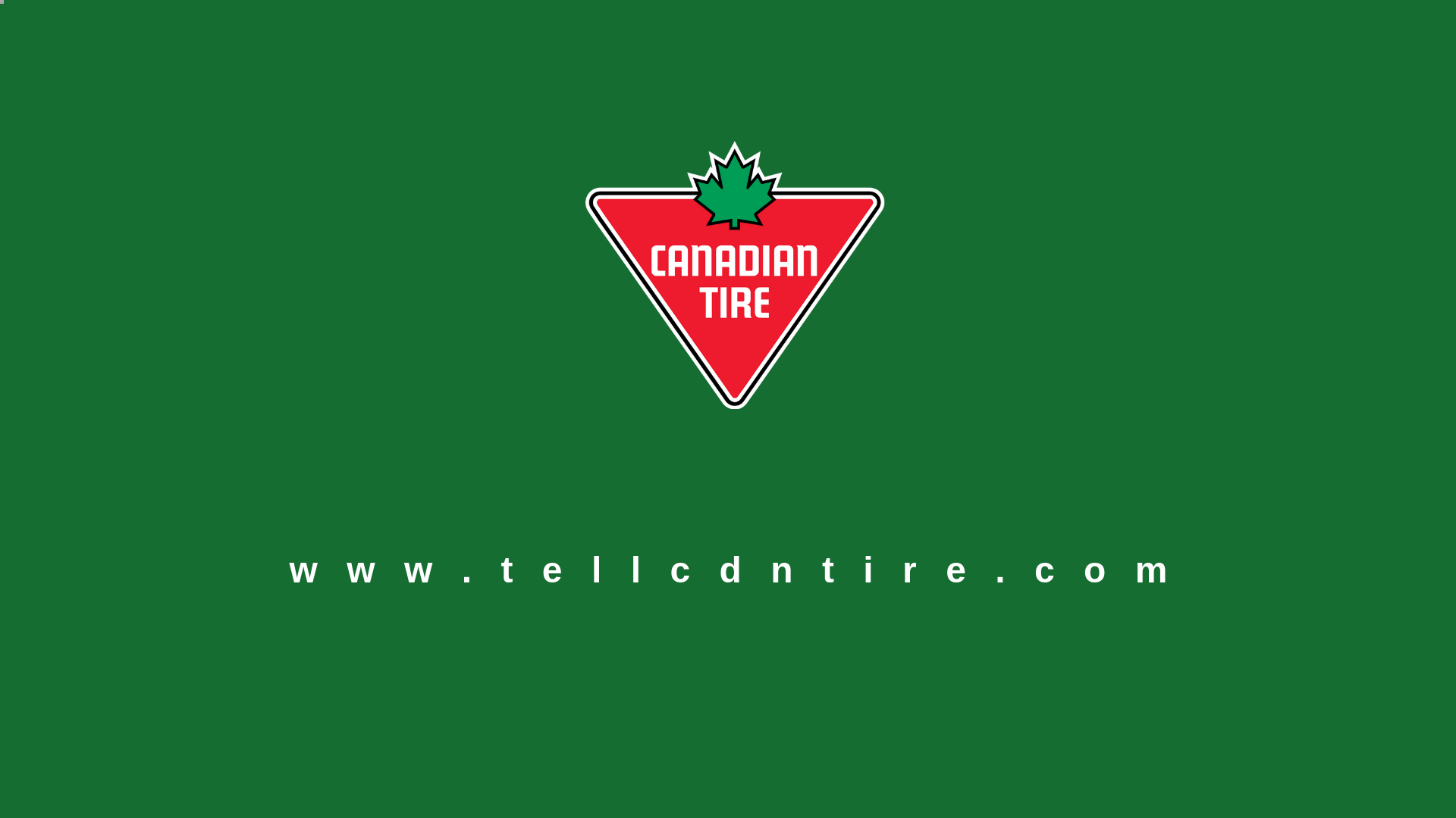 wallpaper paste canadian tire