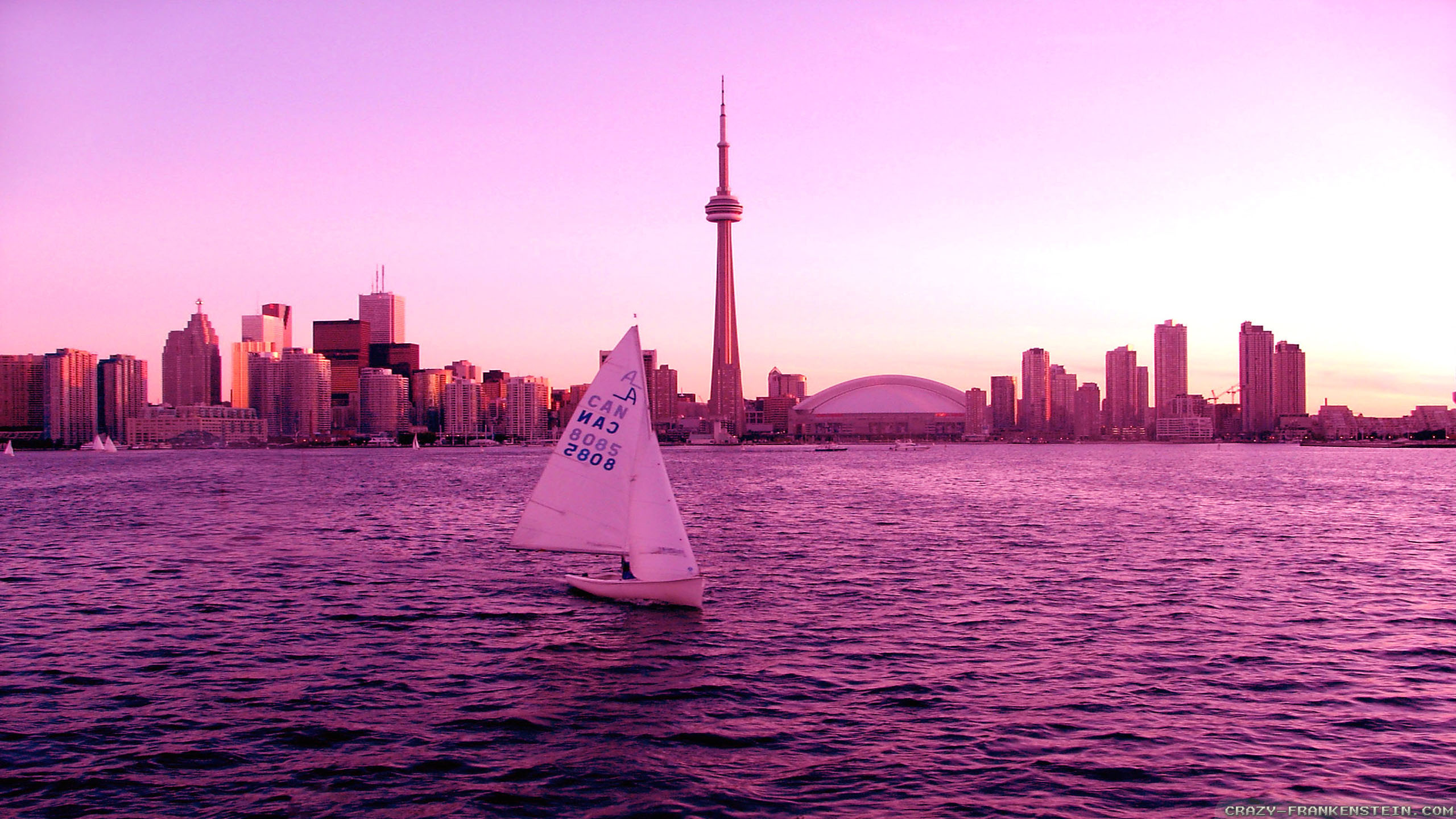 Toronto Wallpaper Boat - HD Wallpaper 