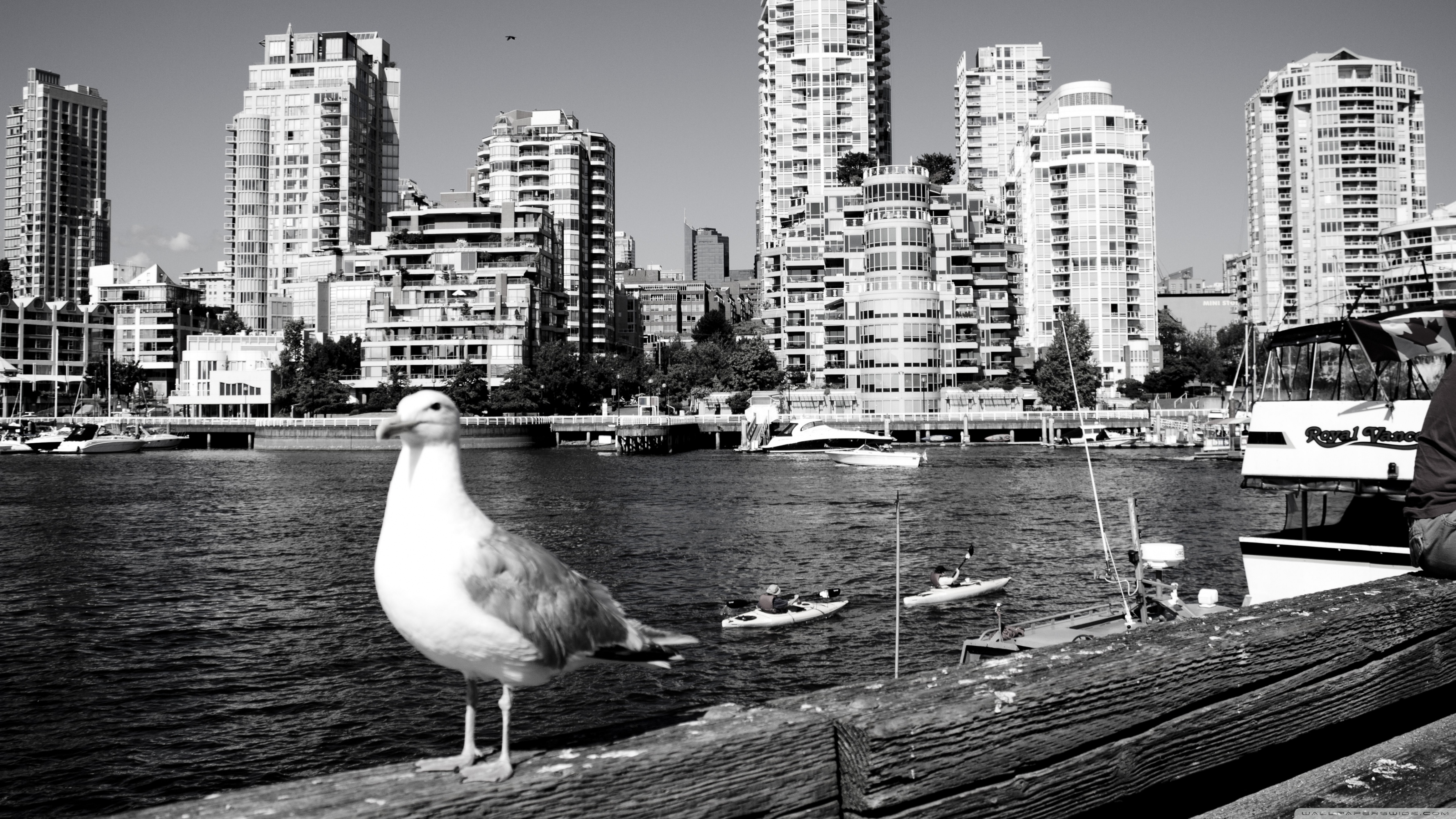 Black White Wallpaper Vancouver - HD Wallpaper 