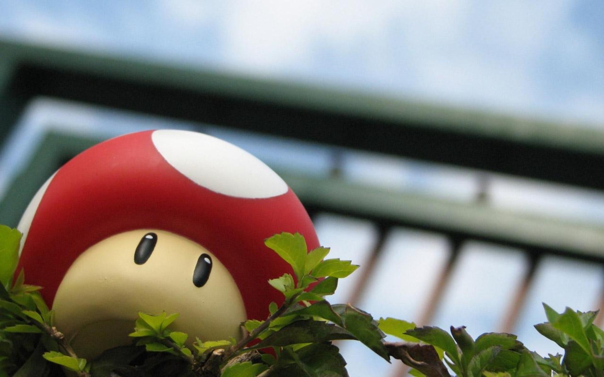 Mario Mushroom - Mario Mushroom Wallpaper Hd - HD Wallpaper 
