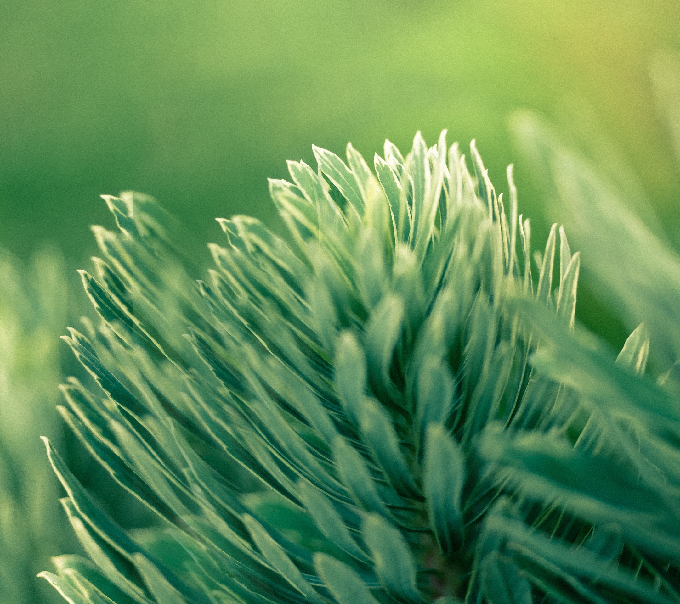 Htc Wallpapers And Themes - 2160x1920 Wallpaper Htc Wallpapers And Themes - 2160x1920 Wallpaper