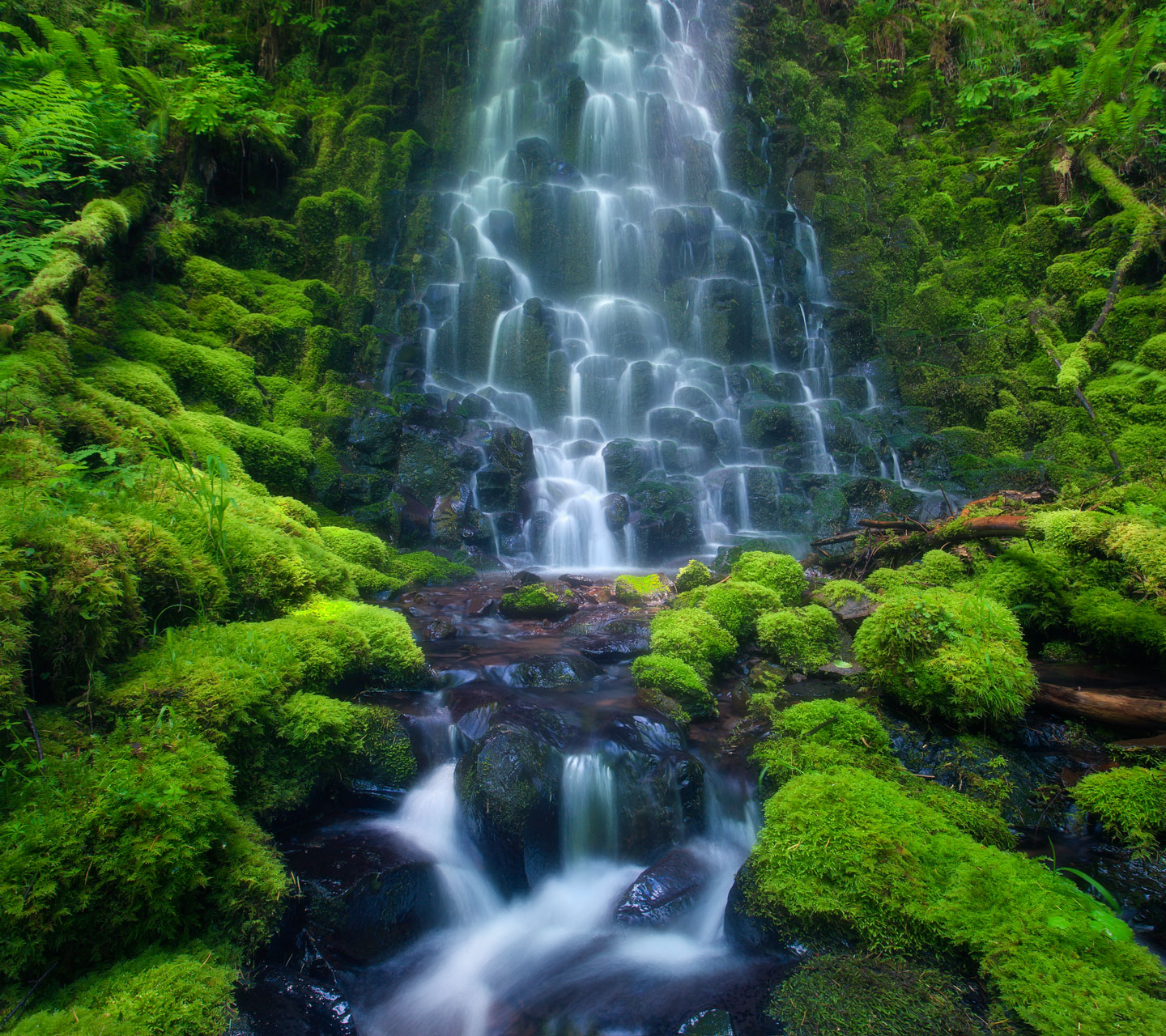 Beautiful Most Beautiful Amazon Rainforest - 1440x1280 Wallpaper Beautiful Most Beautiful Amazon Rainforest - 1440x1280 Wallpaper