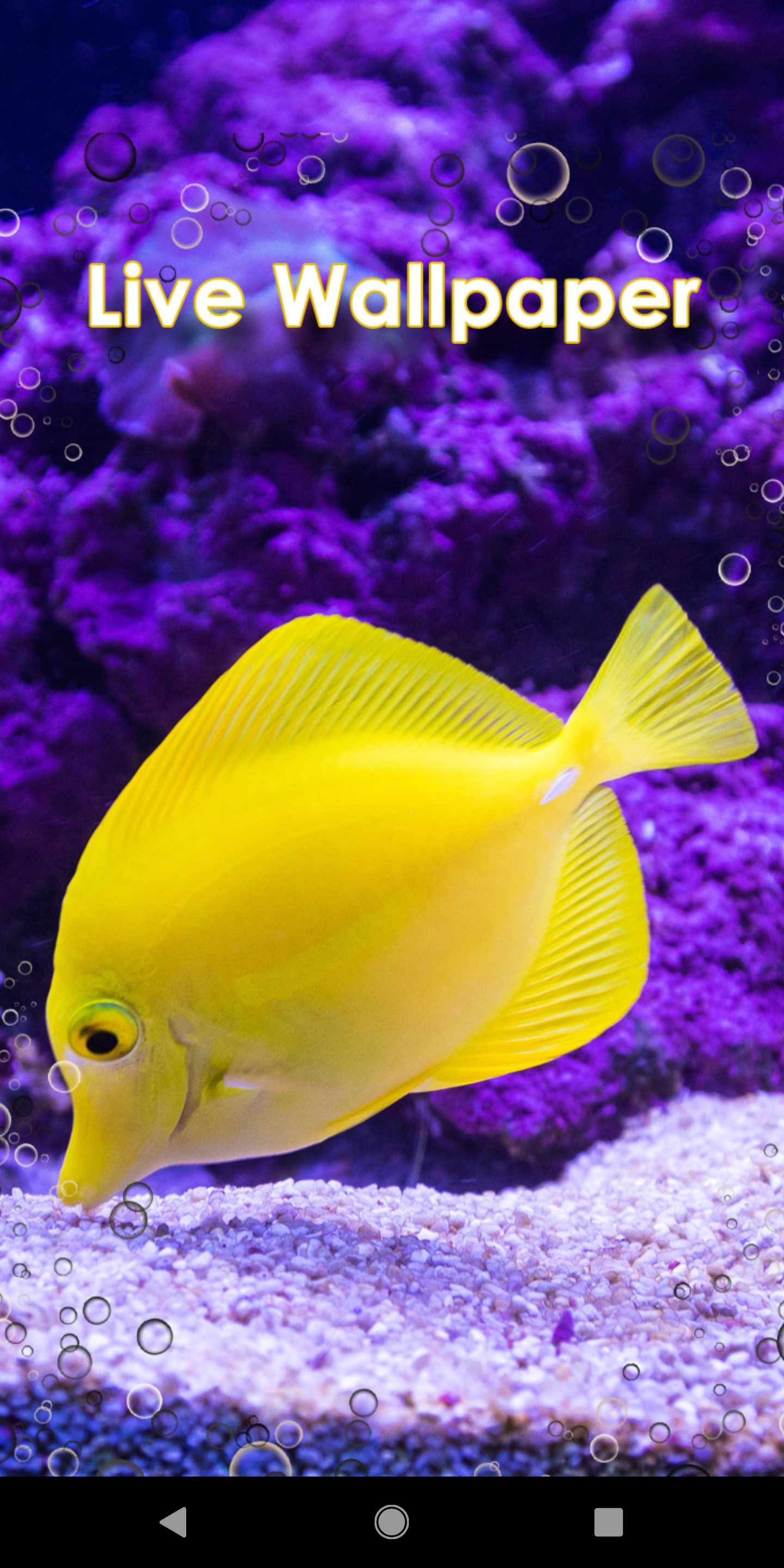 Purple And Yellow Photography - HD Wallpaper 