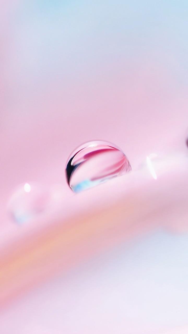 Water Drop, Dew, Macro, Photography - Drop - HD Wallpaper 