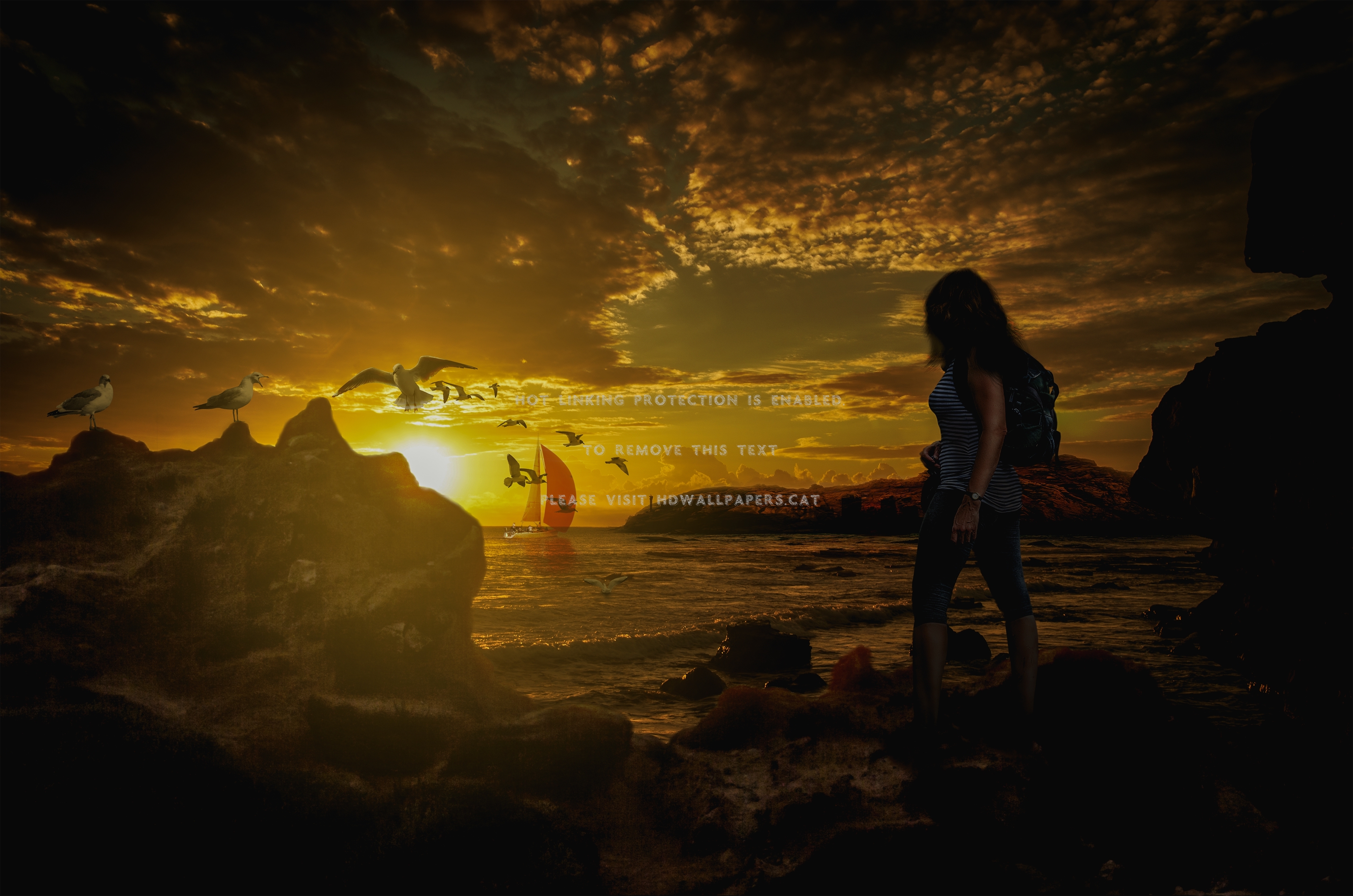 Touch Of The Ocean Alone Water Boat Birds - Sunset - HD Wallpaper 