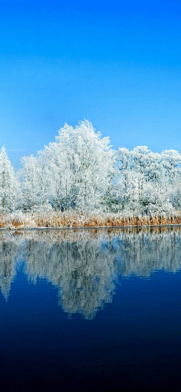 Xiaomi Mi Cc9 Wallpapers - Mi Phone - HD Wallpaper 