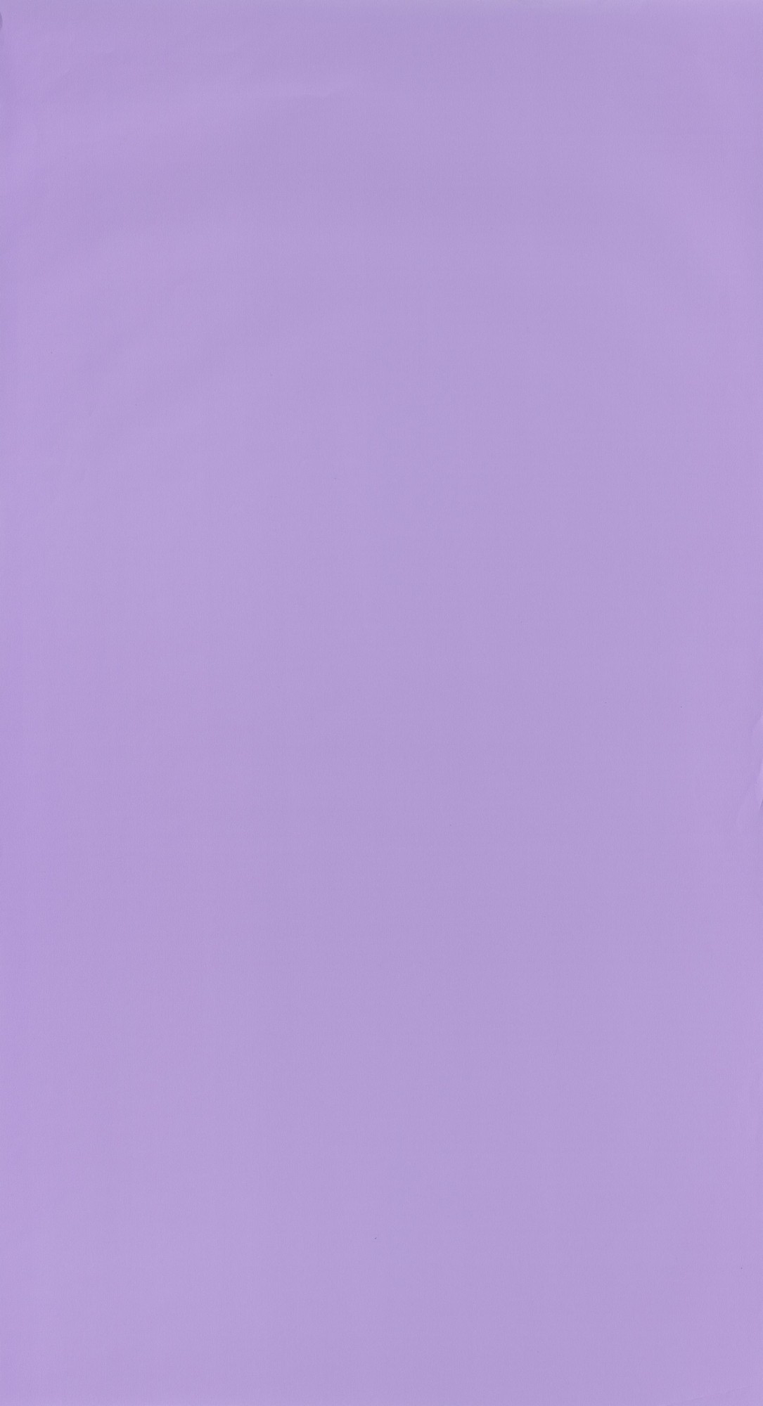 Lilac - HD Wallpaper 