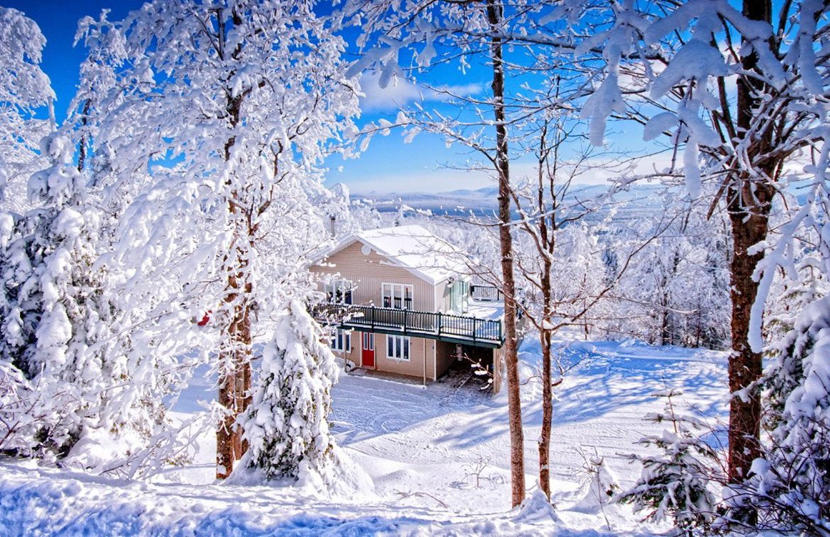 Winter Lovely - HD Wallpaper 