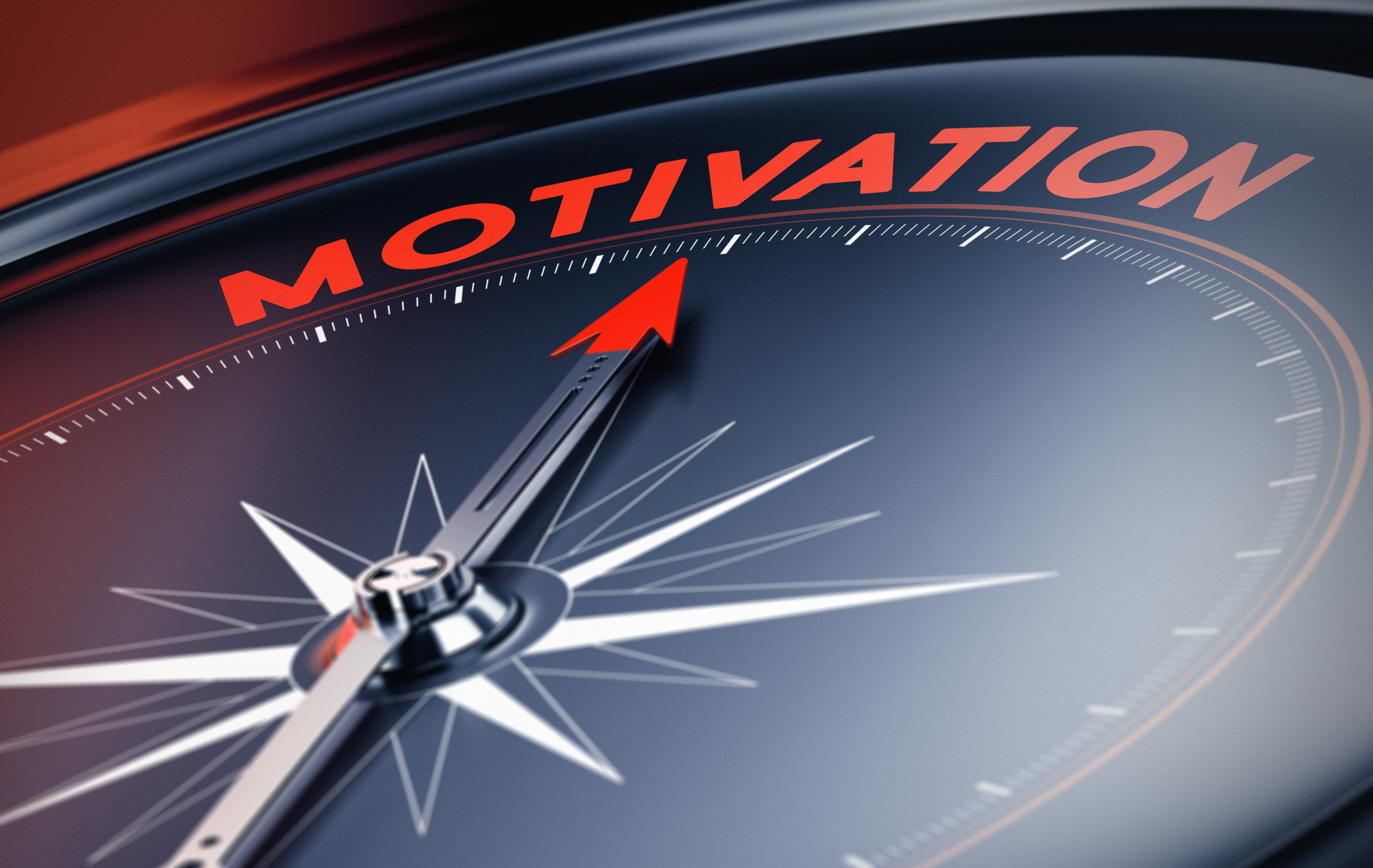 Motivation Compass - HD Wallpaper 