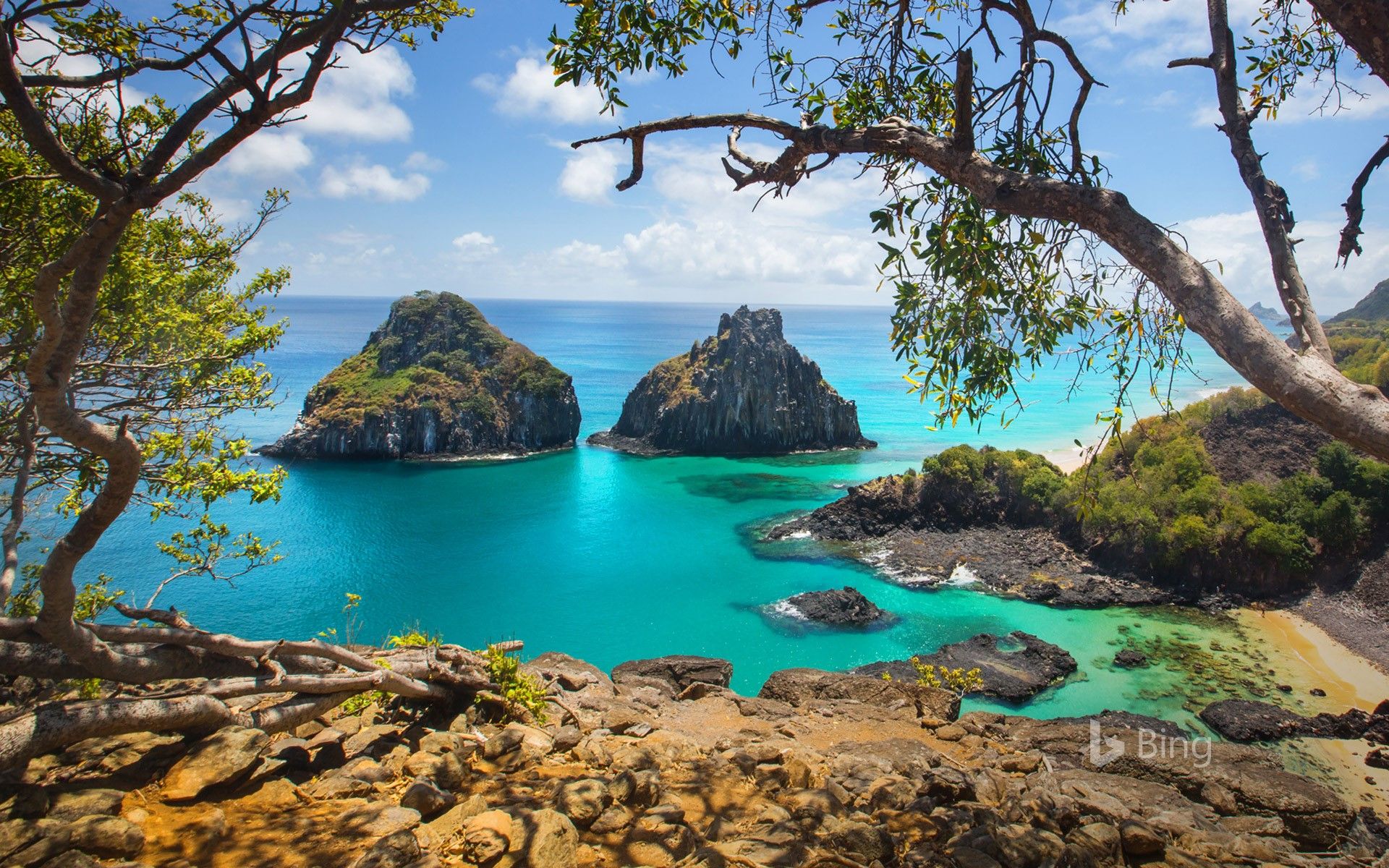 Bing Wallpaper Bing Wallpaper Updates Your Desktop - Fernando De Noronha - HD Wallpaper 