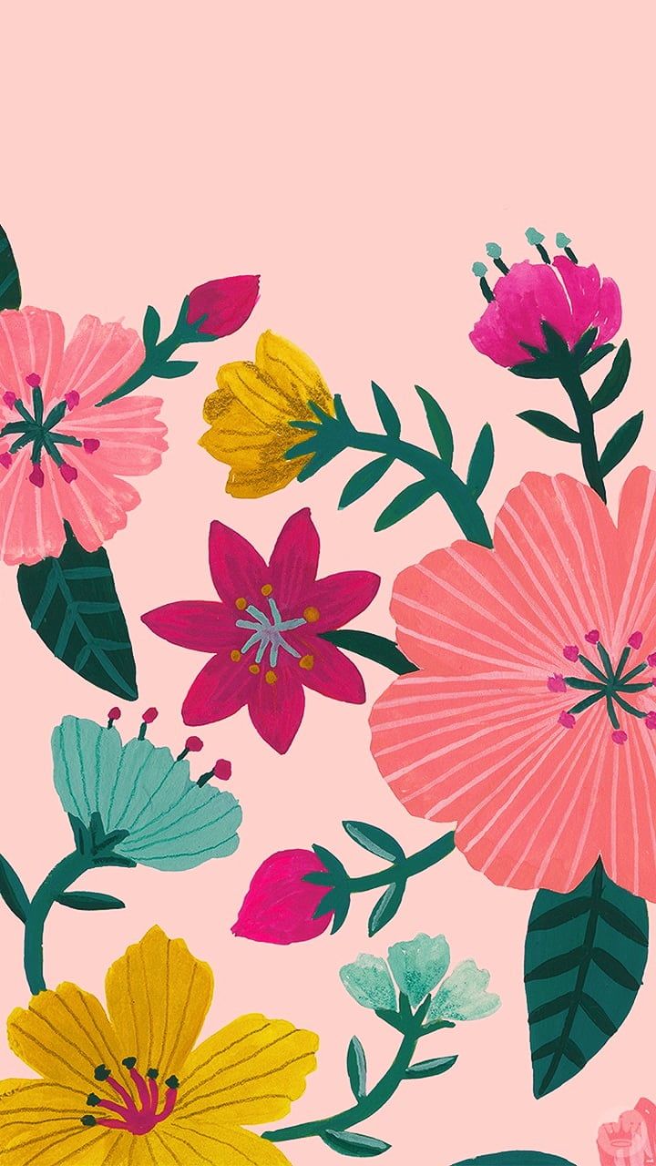 Wallpaper - HD Wallpaper 