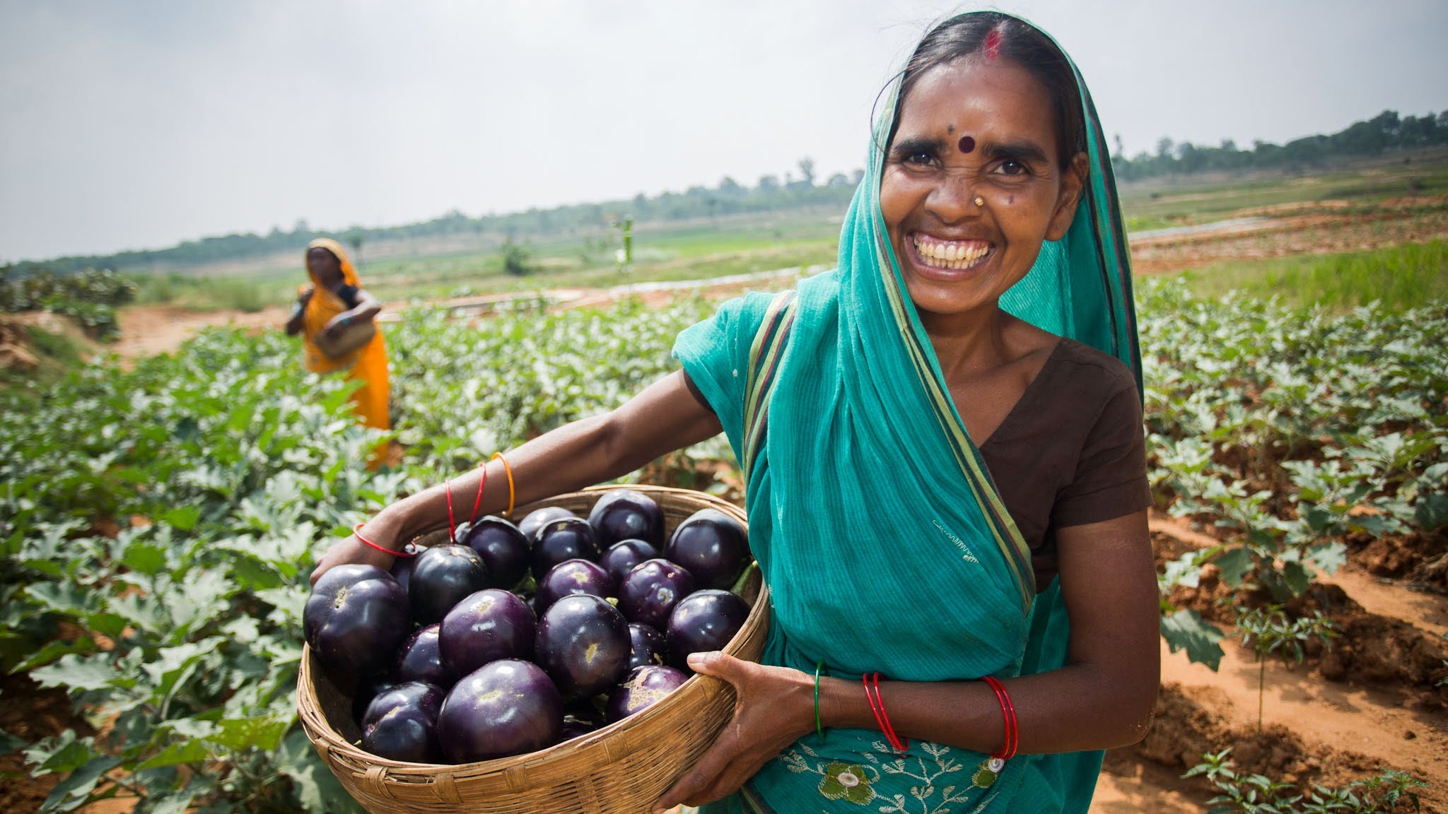 Indian Farmer With Vegetables - HD Wallpaper 