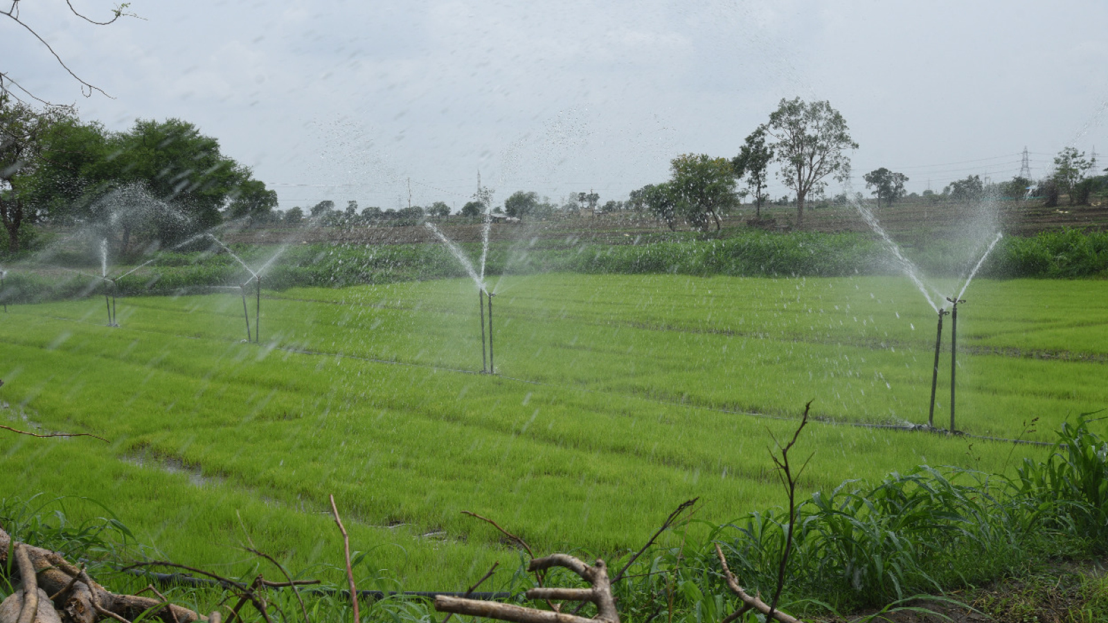 # - Irrigation Indian Agriculture Hd - HD Wallpaper 
