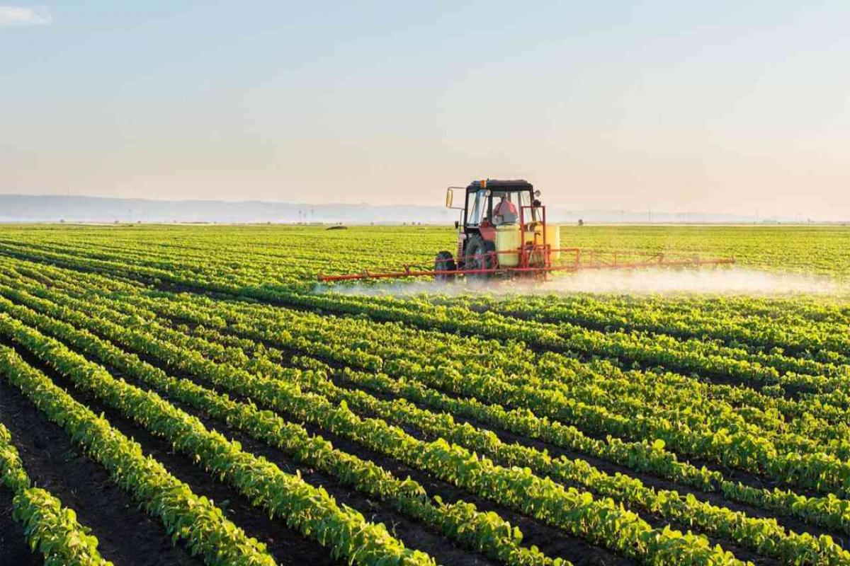 India Images Of Agriculture - HD Wallpaper 