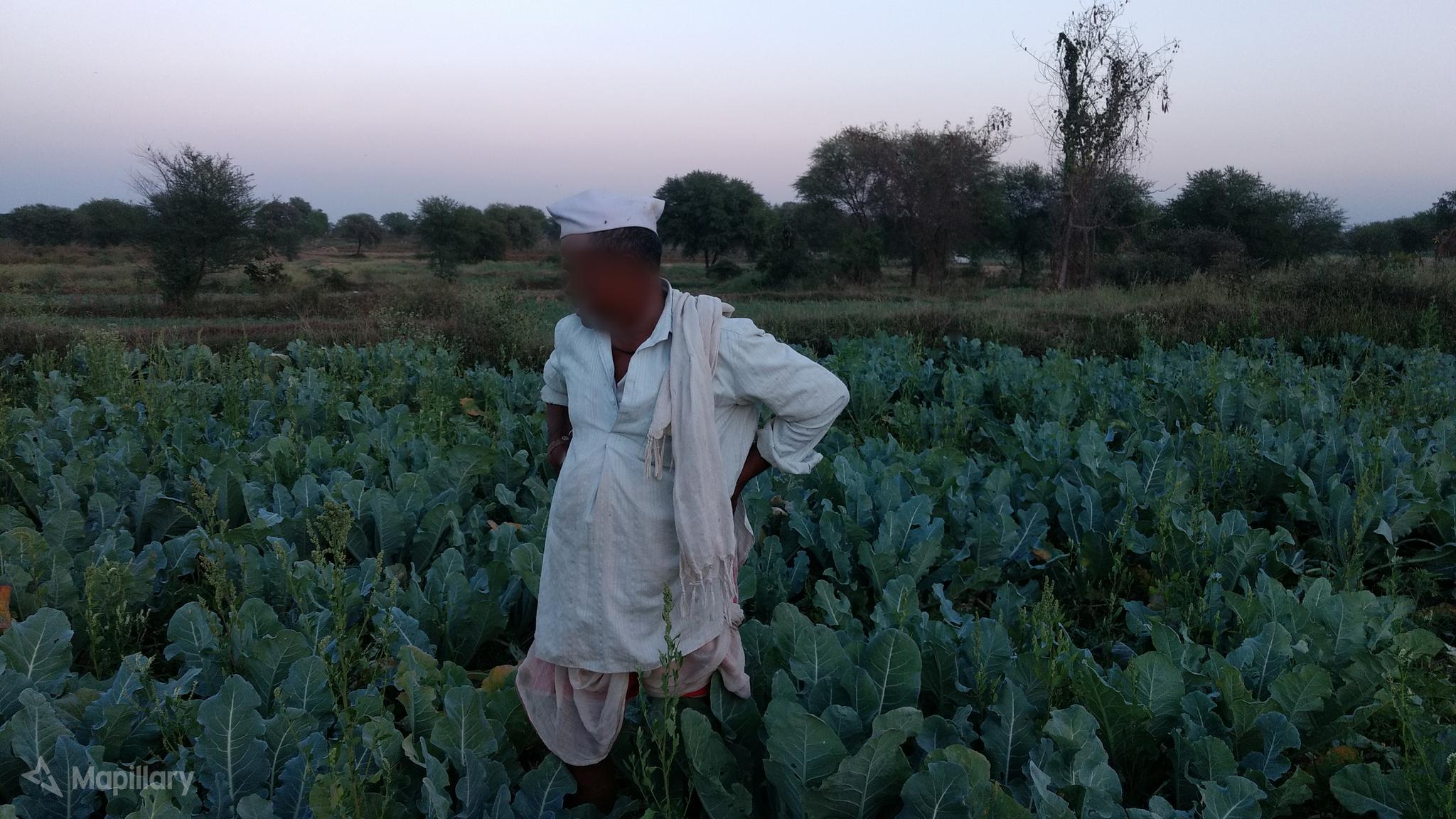 Field - HD Wallpaper 