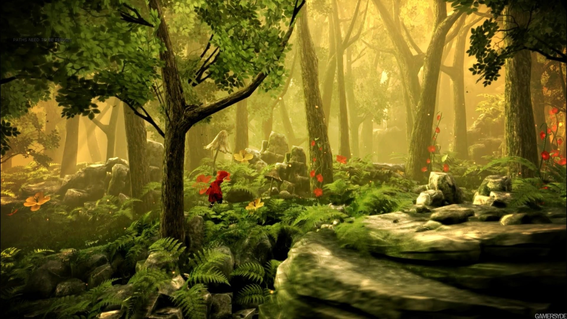 Fairytale Forest Full Photo - Fantasy Fairy Tale Background - HD Wallpaper 