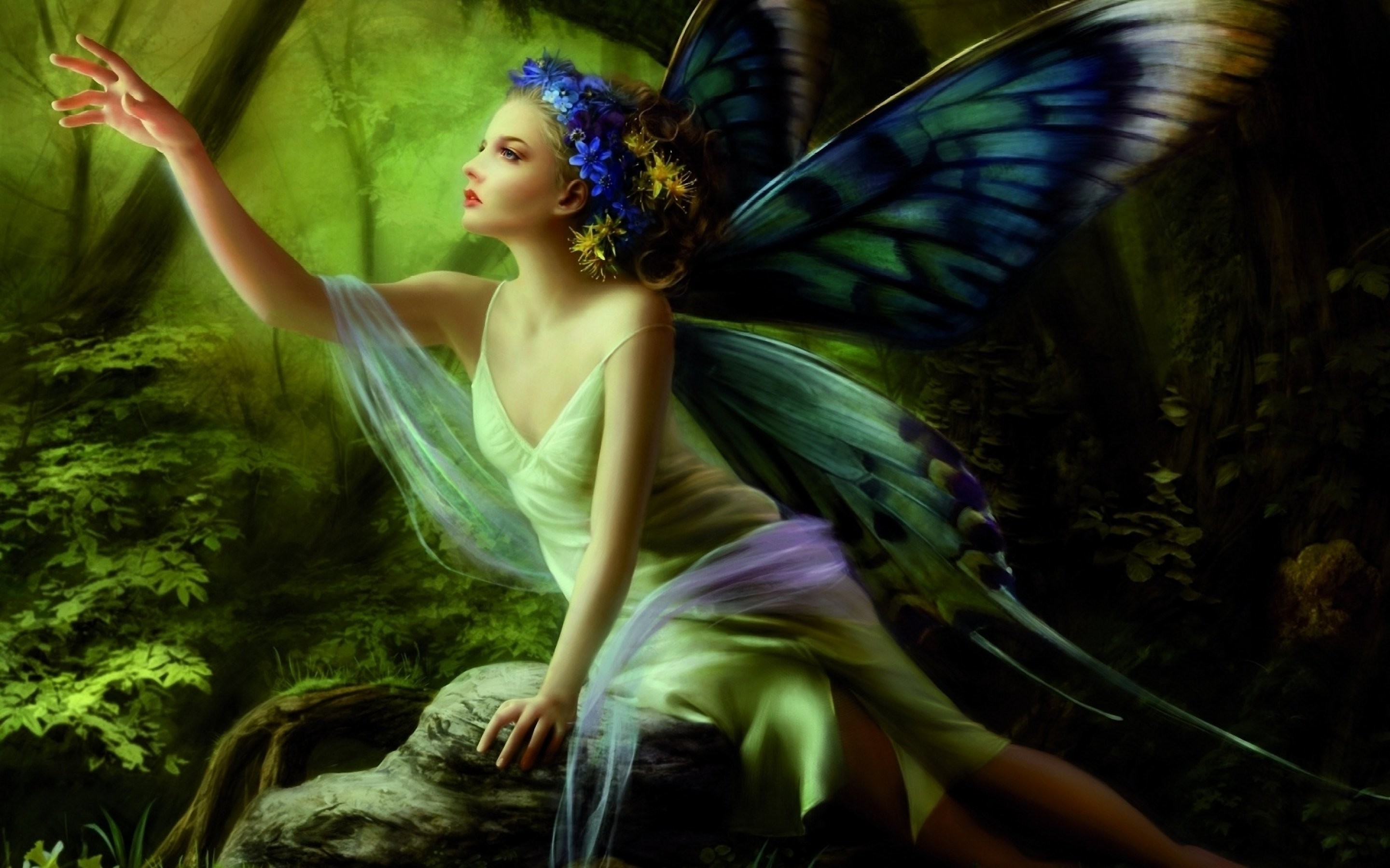 Fairy Wallpaper - Fairies With Butterfly Wings - HD Wallpaper 