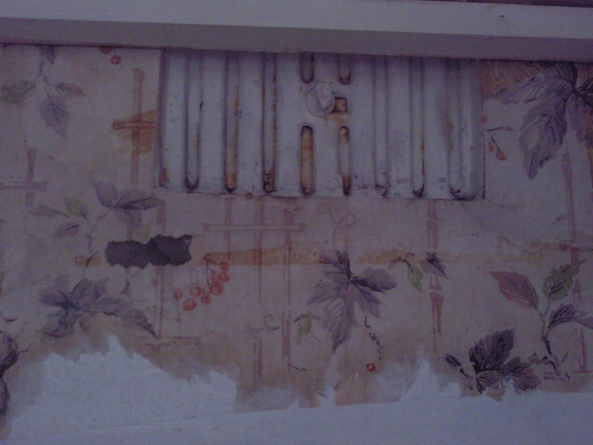 House I Decided To Pull Of Some Mouldy Wallpaper In - Snow - HD Wallpaper 