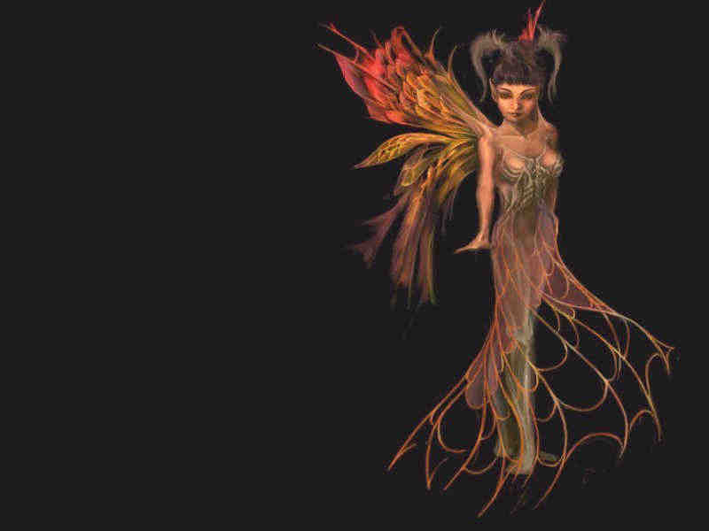 Zip - Pixie Fairies - HD Wallpaper 