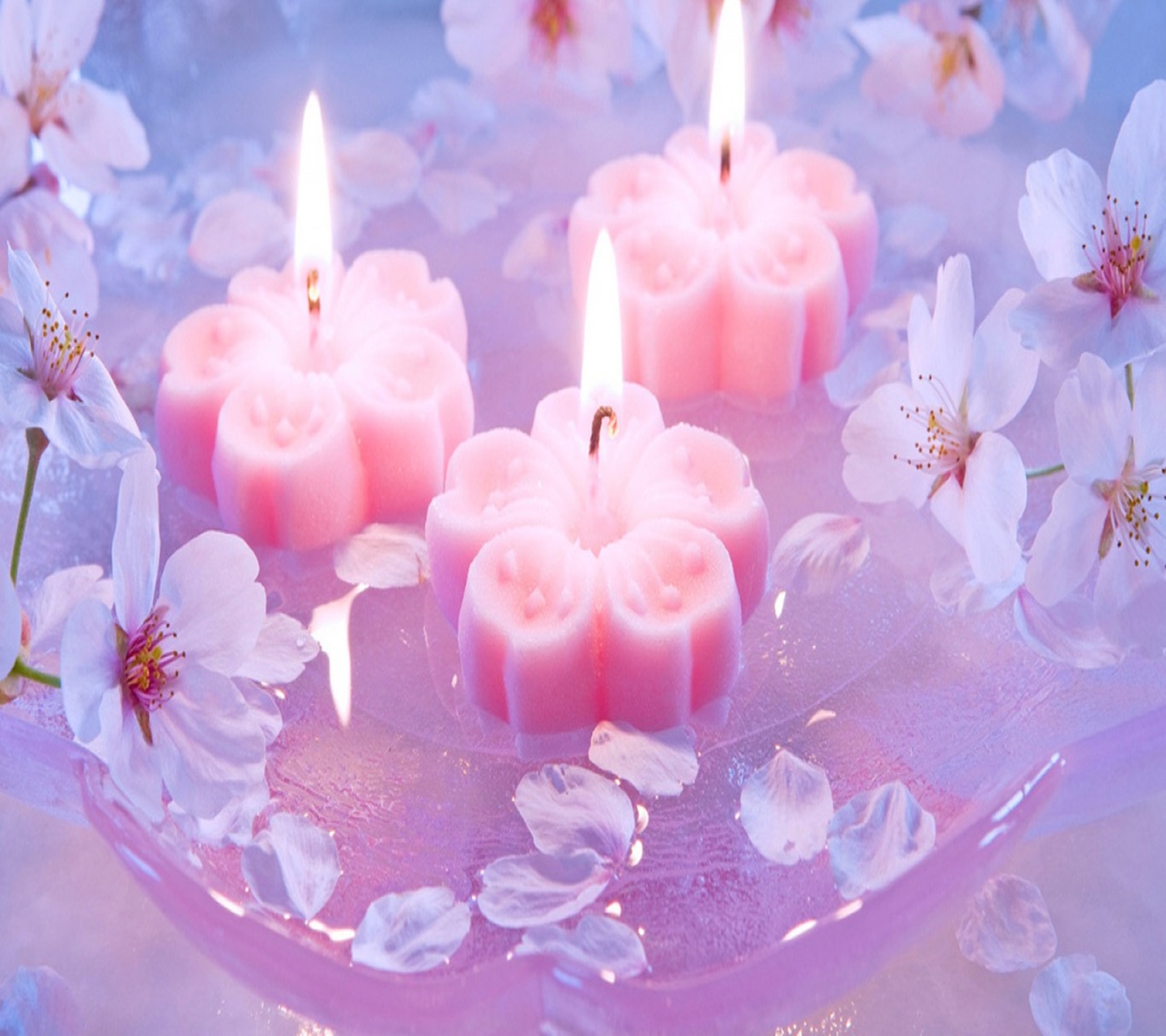 Image - Candles Poetry - HD Wallpaper 